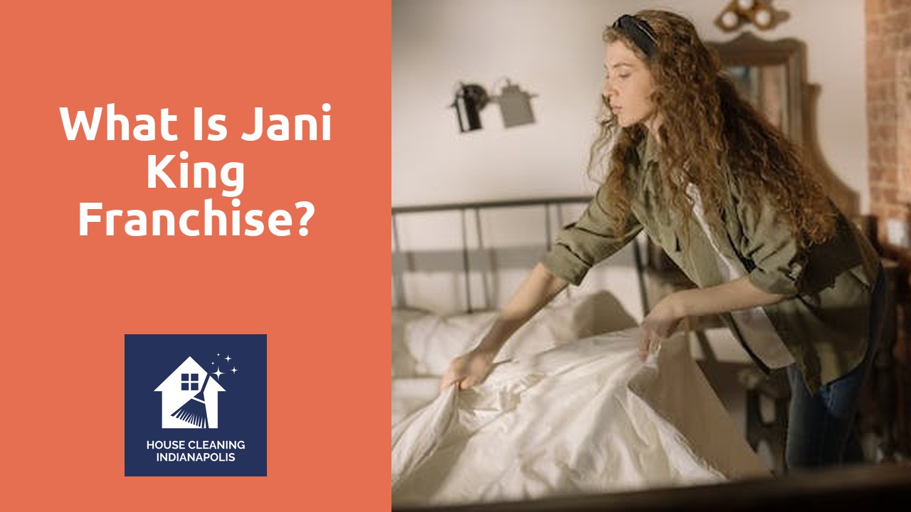What is Jani King franchise?