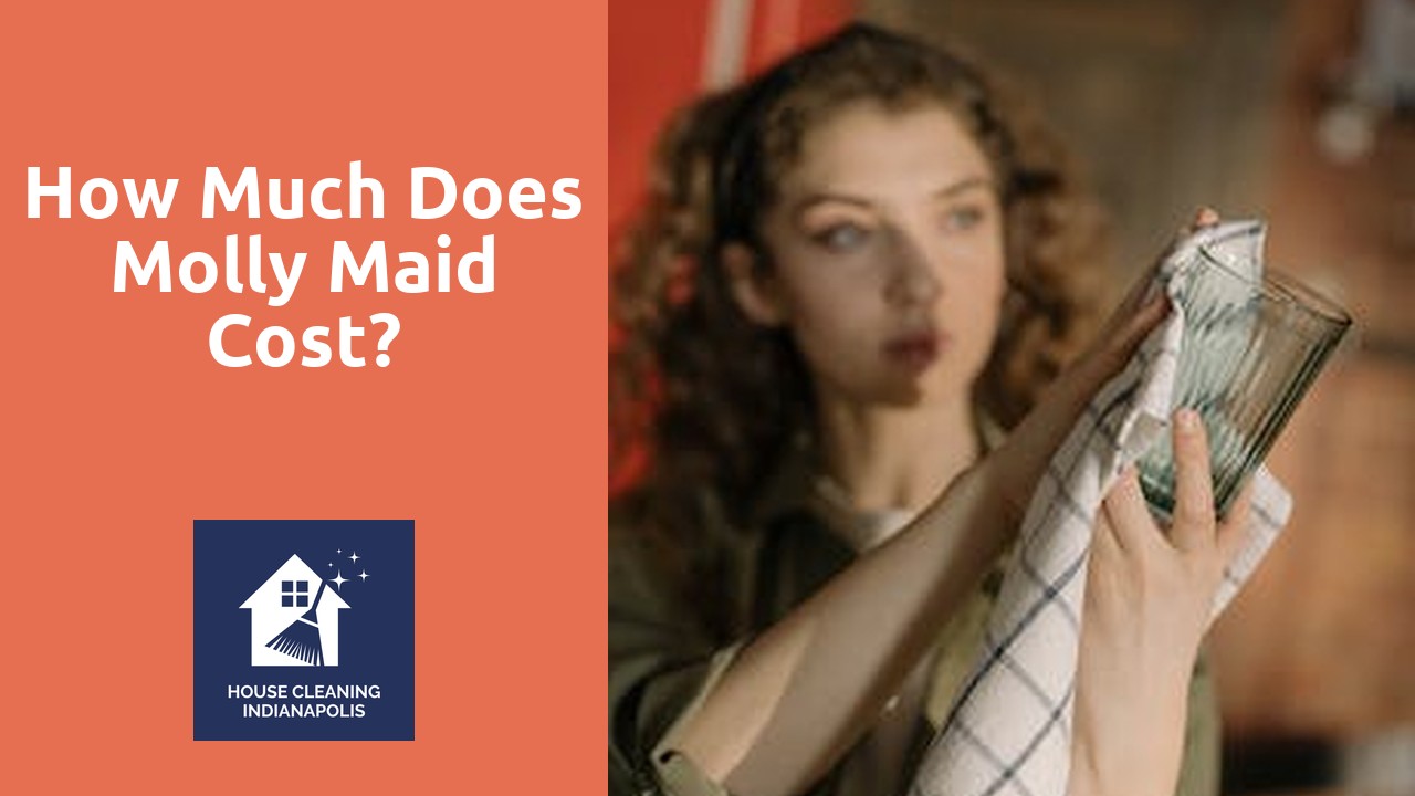 How much does Molly Maid cost?