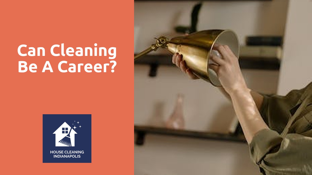 Can cleaning be a career?