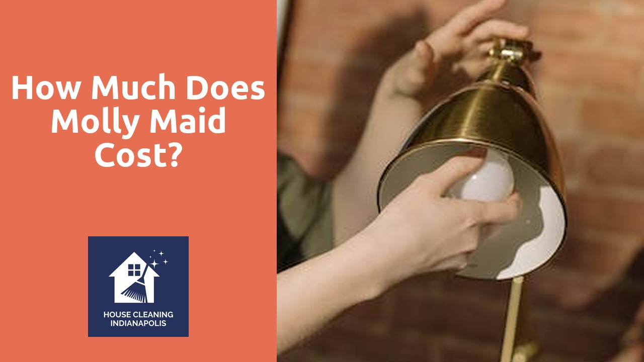How much does Molly Maid cost?