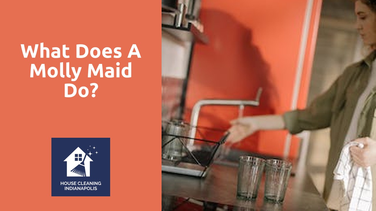 What does a Molly Maid do?