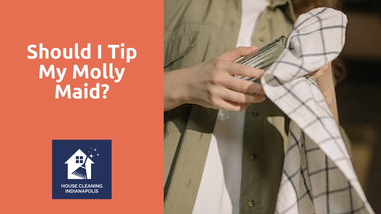 Should I tip my Molly Maid?