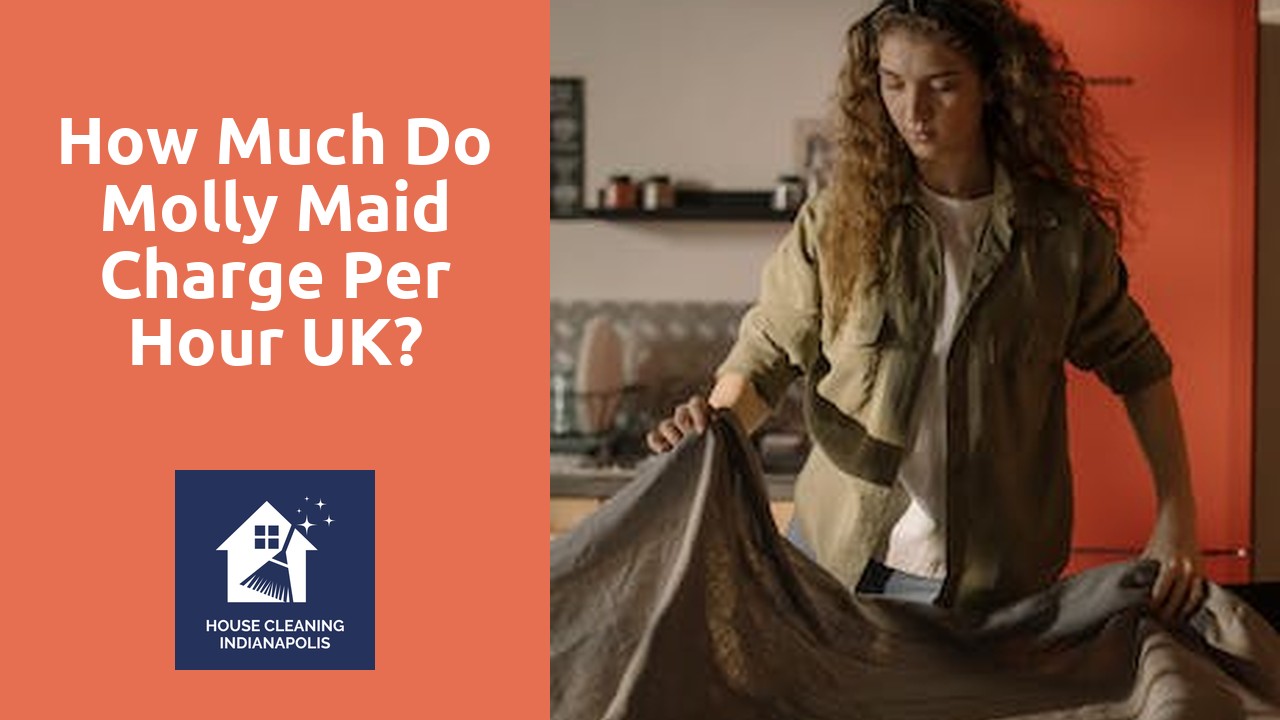 How much do Molly Maid charge per hour UK?